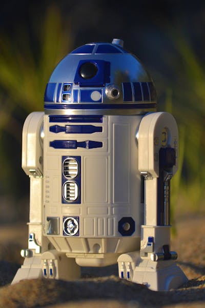 Your Collection Needs to Be Part of Your Estate Plan