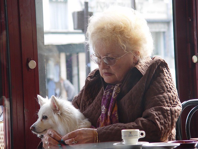 Understanding the Essentials of Social Security Survivor Benefits